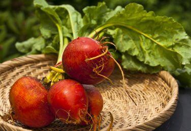 nitrate rich foods