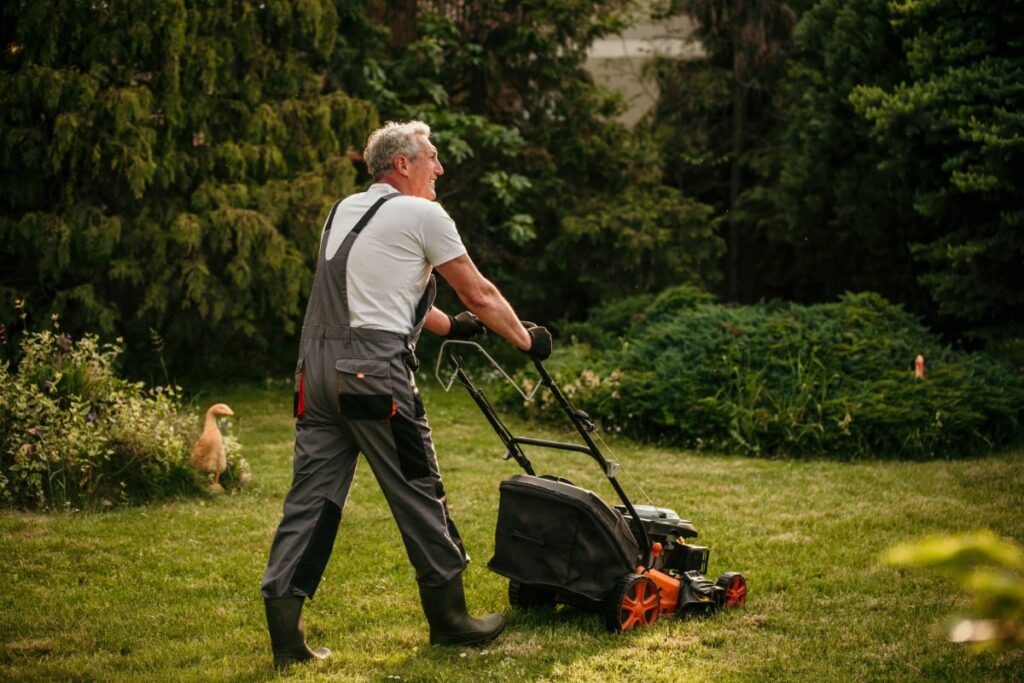 cutting grass