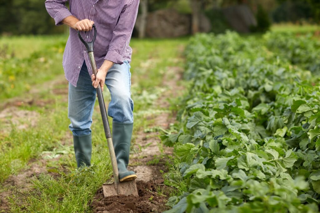 shoveling safety tips